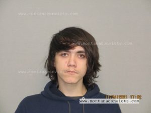 Reece Jaren Wandler - 3031699