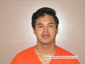 Elvin Dog Taking Gun - 3030898