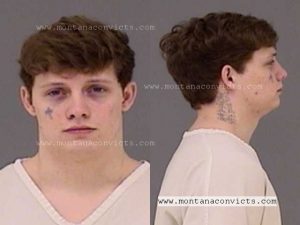 Dray Scott Wieting - 3031051