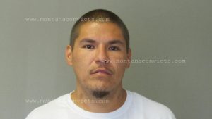 Santana Young Stump - 3031111