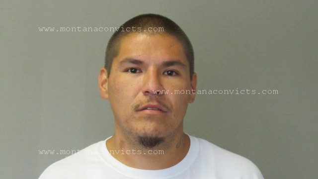 Santana Young Stump - 3031111