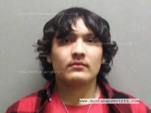 Jree William Old Bull - 3031155