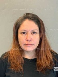 Lila Marie Mountain Sheep - 3030359