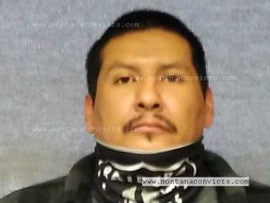 Lee Preston Onion - 3030412