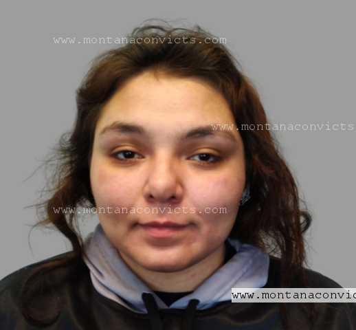 Amanda Jo Marie Gourneau - 3030497