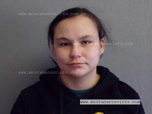 Sandra Donna May Phelps - 3030520