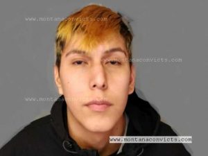 Sylis Bradley James Dayrider - 3029549