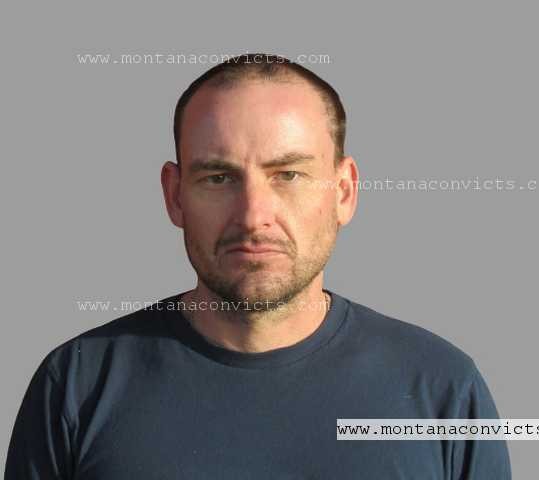 Connor Jeffrey Shipstead - 3029749