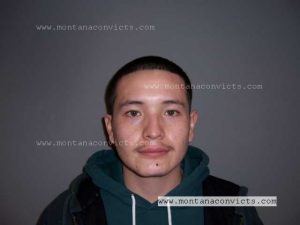 Xainin Reign William Little Wolf - 3029753