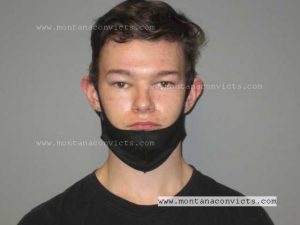 Levi Petersen - 3029884