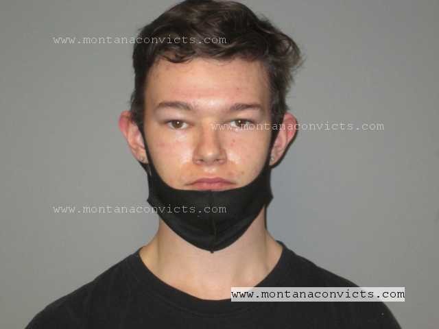 Levi Petersen - 3029884