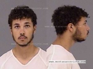 Maurice Charles Austin - 3029165