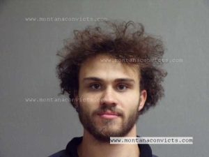 Juniper Francis Watne - 3029338