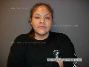 Misty Rose Old Elk - 3029410