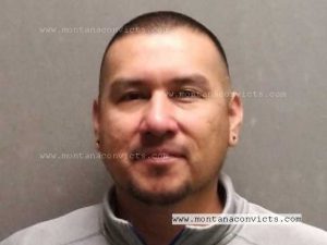 Monty Ken PrettyWeasel - 3028373