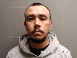 Skyler Wade Little Light - 3028388