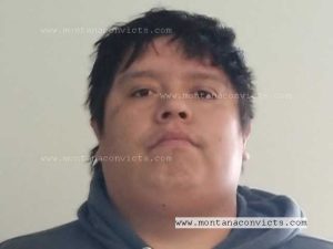 Matthew Jayclee Old Horn - 3028400