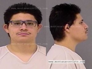 Daniel Sifuentes - 3028401