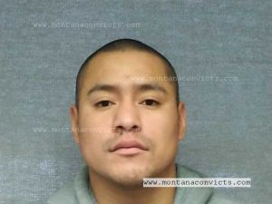 Benjamin Brightwings JR - 3028455