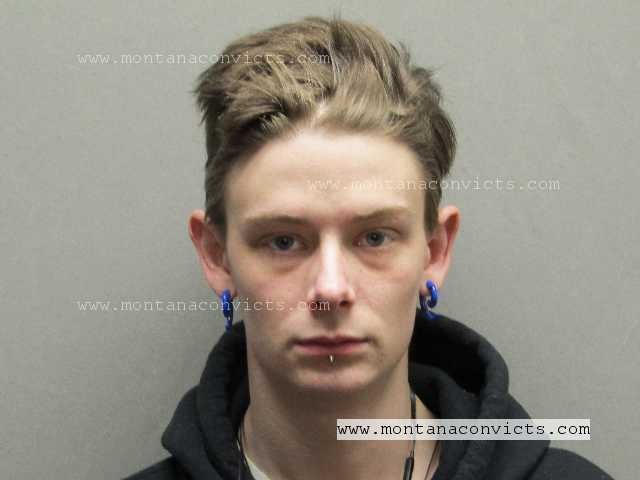 Dalyn Ivy Johnson - 3028467
