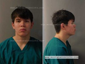 Gabriel Elyas Alvarez - 3028533