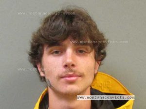 Lukas T Davis - 3028565