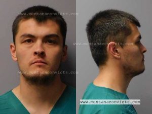 Peyton Mitchell Anderson - 3028642