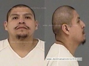 Benjamin Ira Bad Bear - 3028656