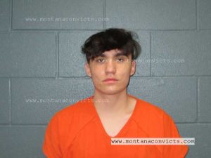 Alazei Skye Engle - 3028670