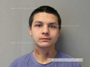 Jaylen Jake Crazyboy - 3028675