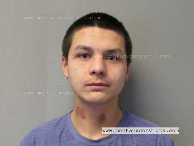 Jaylen Jake Crazyboy - 3028675