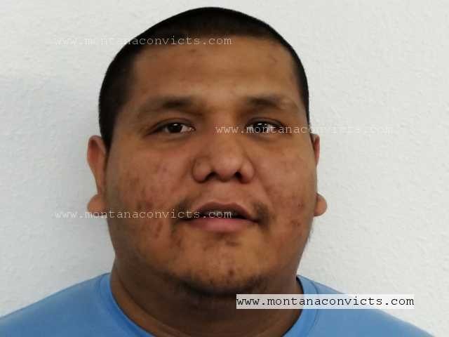 Scott James Old Bull - 3028727