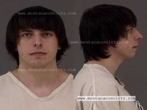 Mitchell Bear Raymond - 3028730