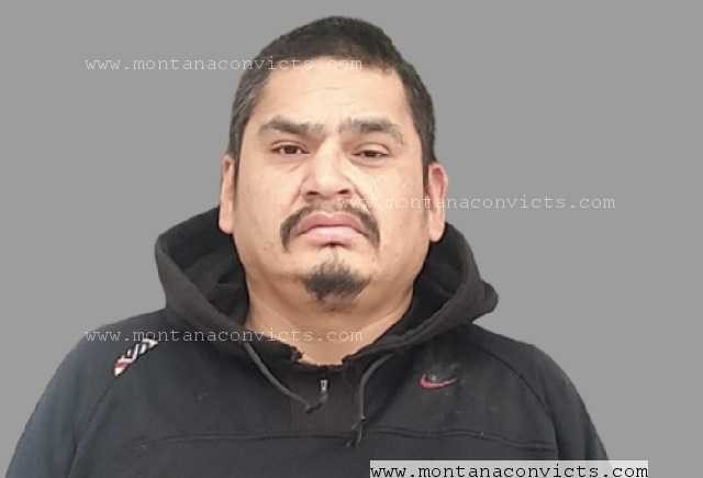 Adrian Roastingstick - 3028898