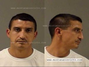 Rayne Forrest Rivers Charette - 3028937