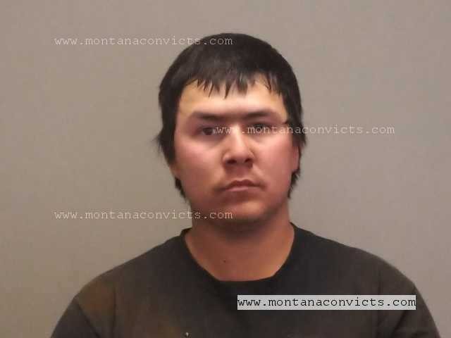 Randy Harve Jelly - 3027961