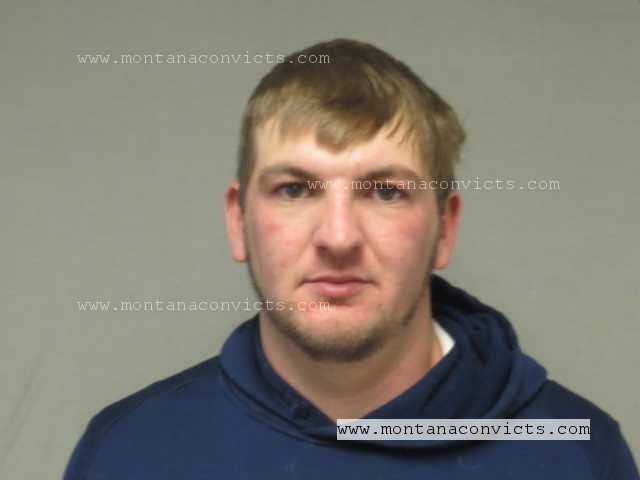Cole David Guidoni - 3028245