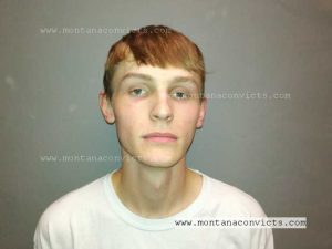 Jace Frank Molk - 3028249
