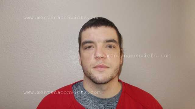 Seth Houston Dean Williams - 3028310