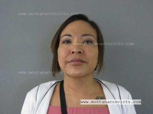 Vina TMM Little Owl - 3026531