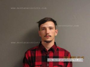 Dylan Tanner Sigea - 3026768