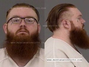 Andrew Williams - 3027094