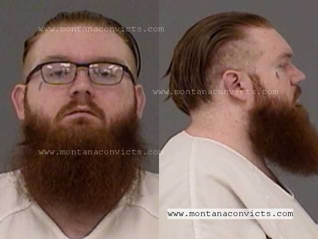 Andrew Williams - 3027094