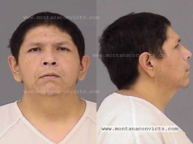 Justin Spottedbear - 3027365