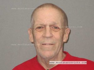 William Mikael Bagosy - 3025032
