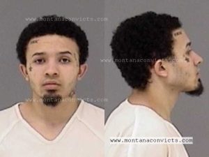Malik William Arvin - 3025190