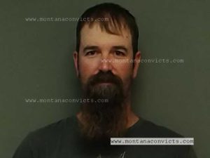 Levi Nelson - 3025536
