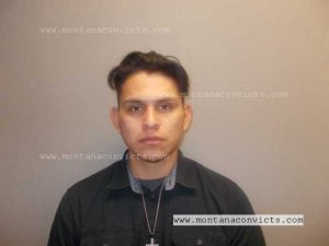 Kobe Daniel Rockroads - 3025929