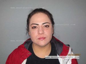 Julia Elizabeth Floor - 3026112