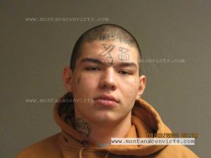 Gaige Alexander Caye - 3026182